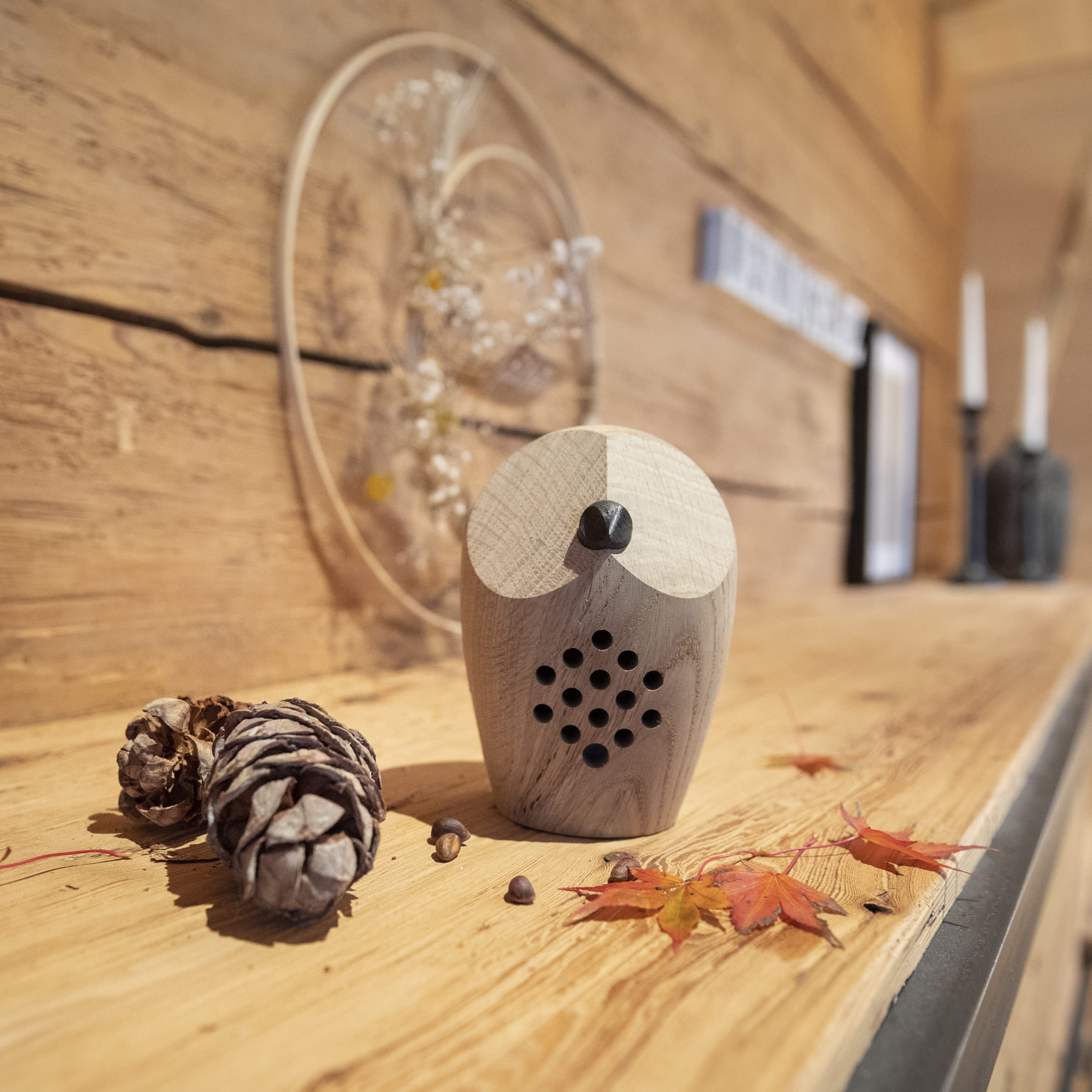 Hibou «Huuri» son de la forêt