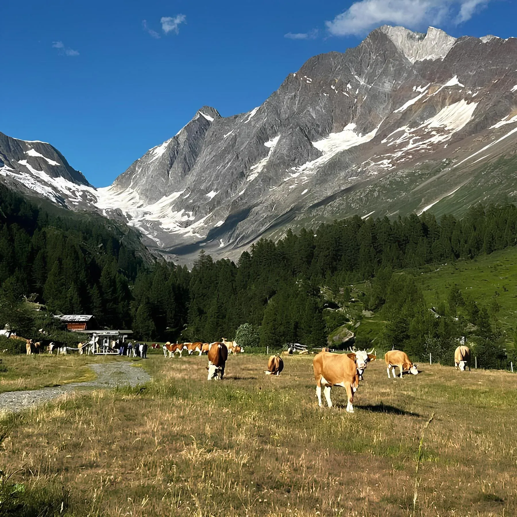 Kaeserei Loetschen_Foto Alp