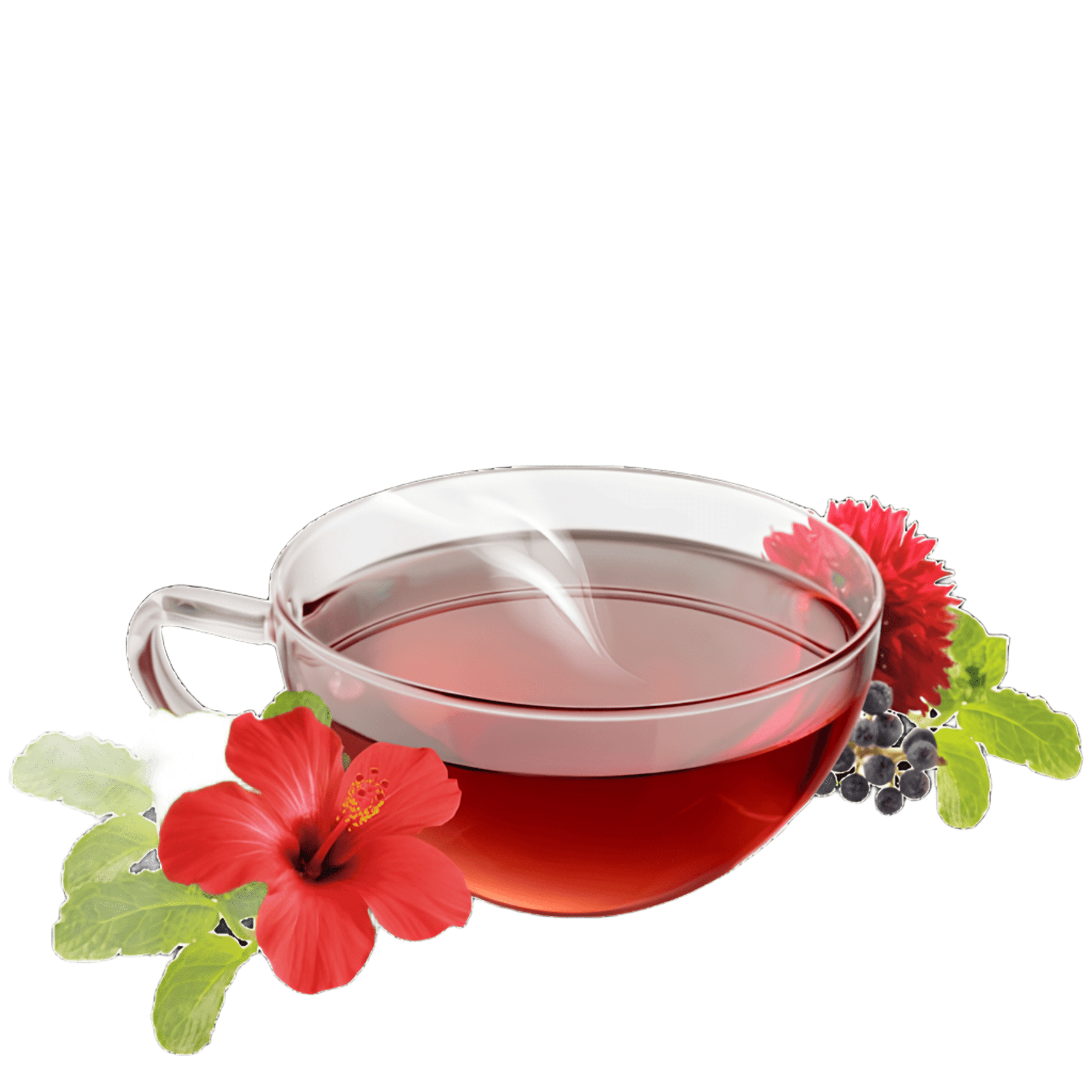 alpenkrauetertee-bio_swissalpineherbs_alpensommer_teetasse
