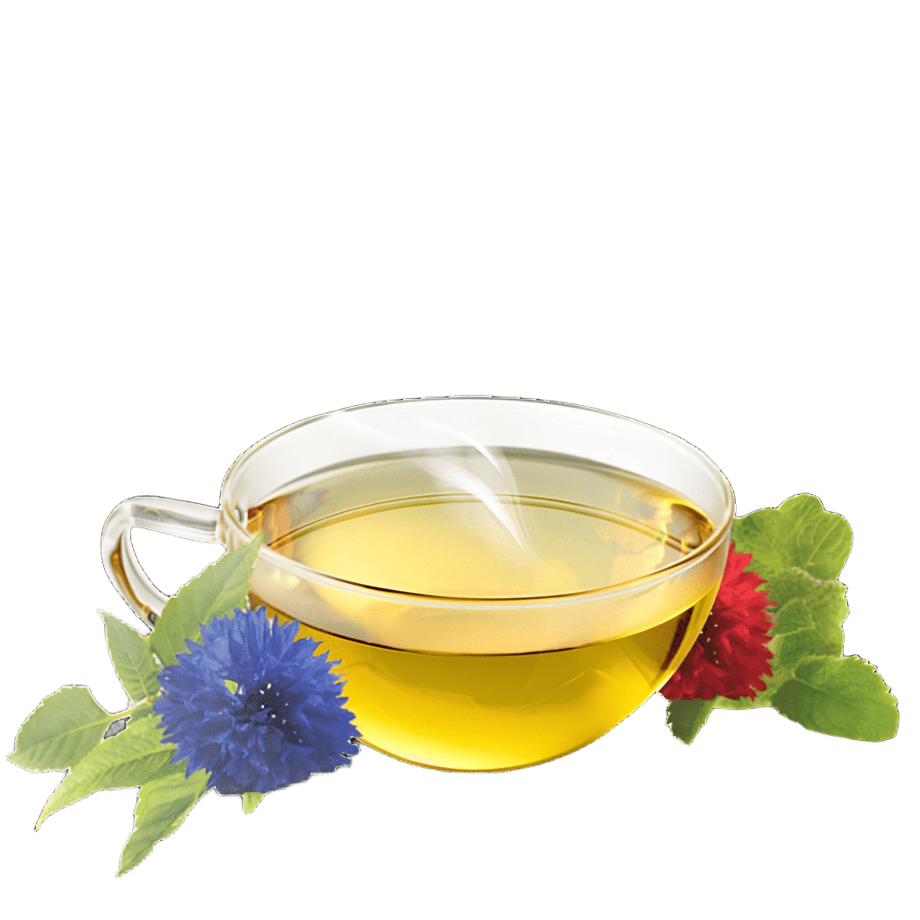 alpenkrauetertee-bio_swissalpineherbs_alpenglanz_teetasse