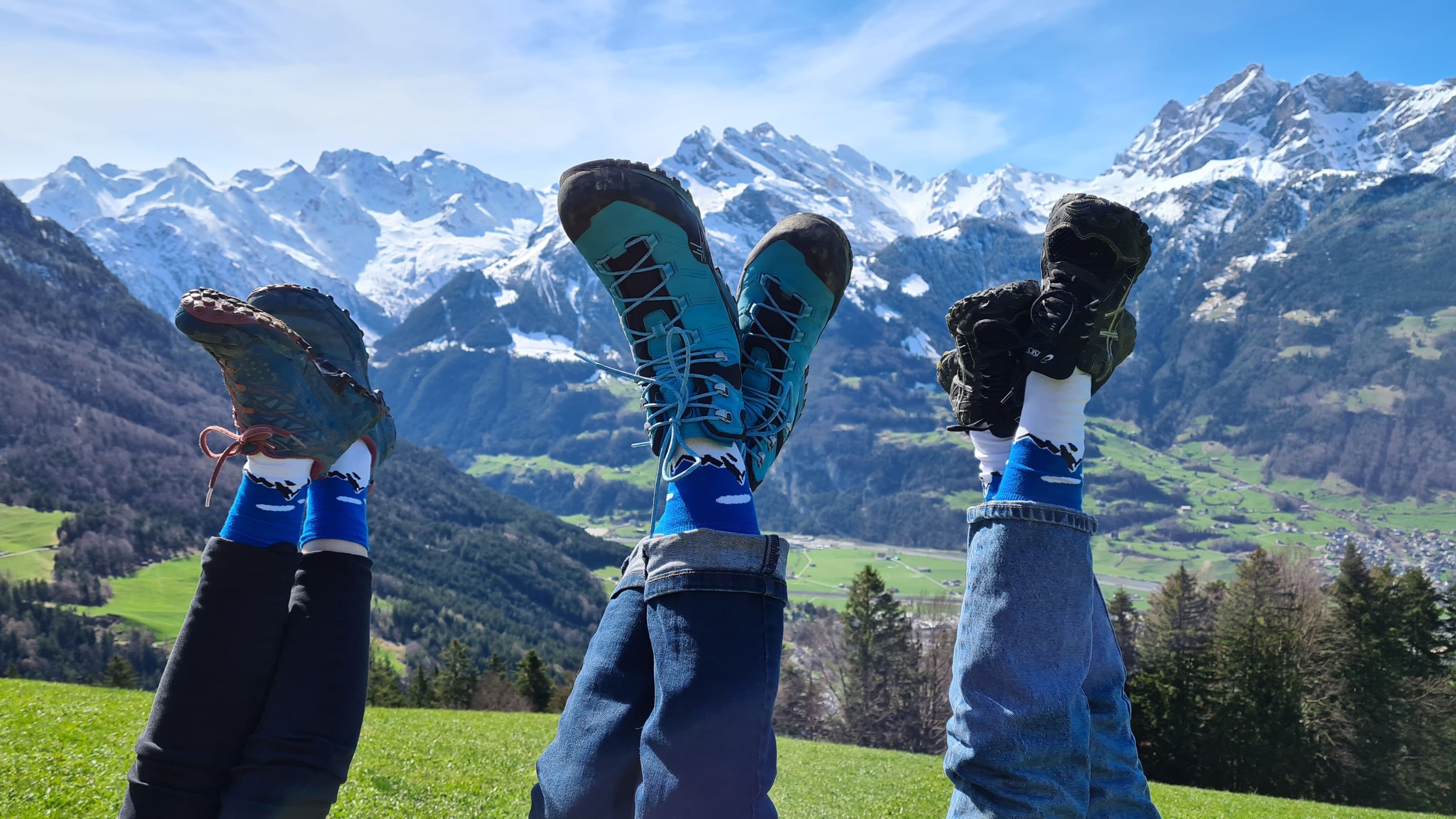 Socken Pro Alps