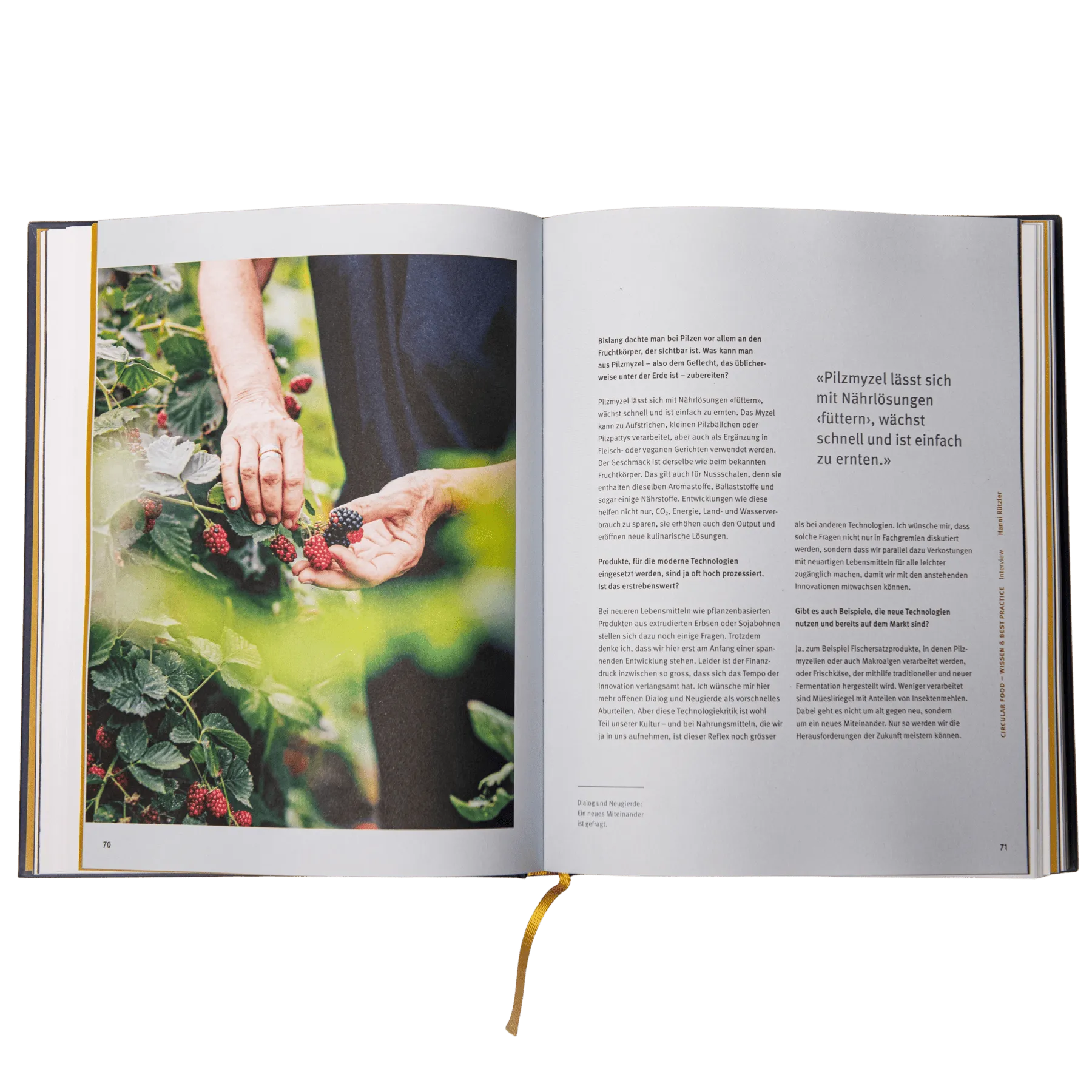 buch_rezepte_taste-not-waste-inhalt3