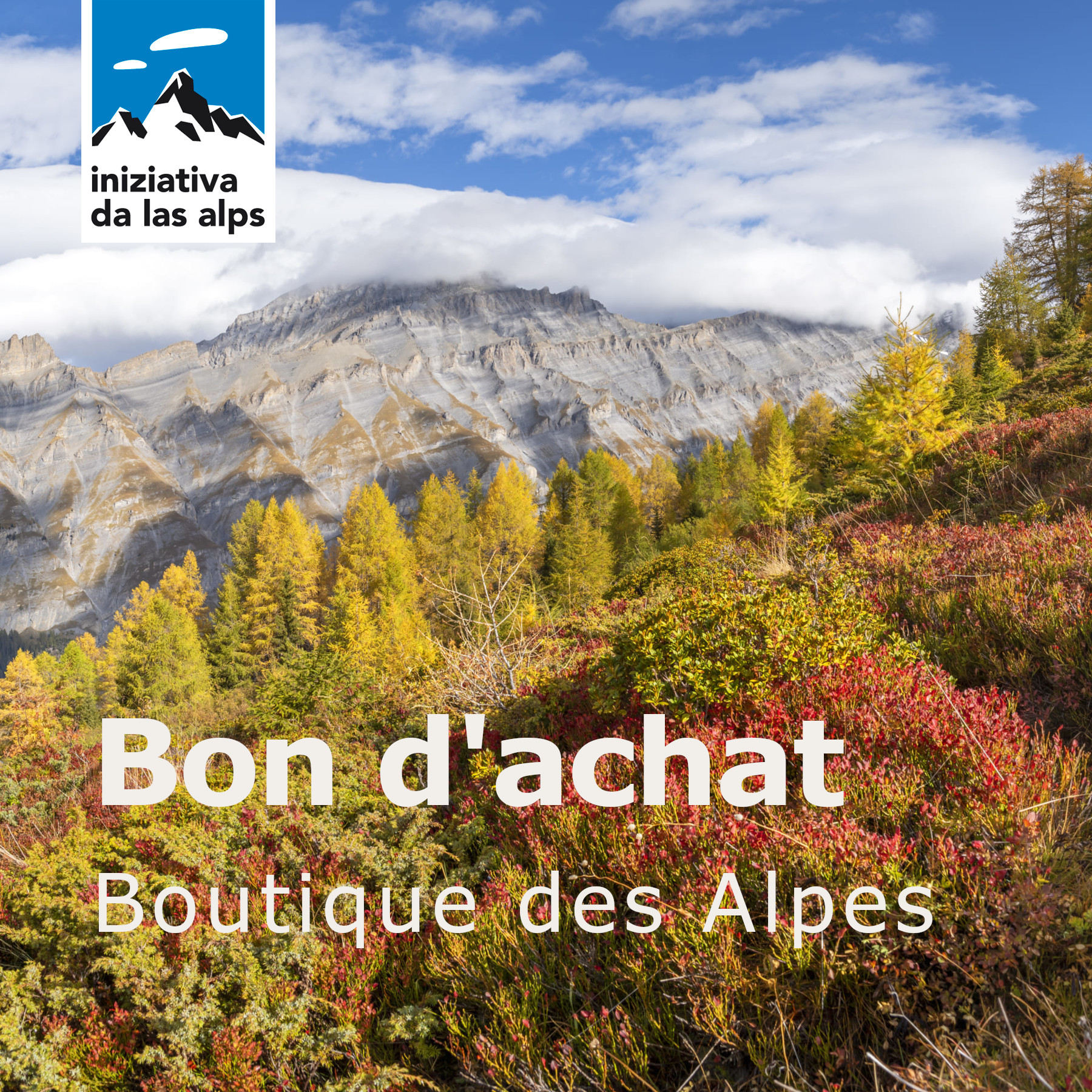 Recevoir le bon en PDF par e-mail