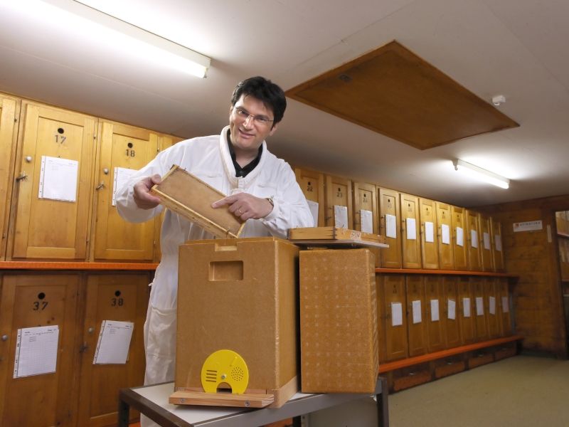 APINATURA Lait démaquillant APINATURA Lait démaquillant