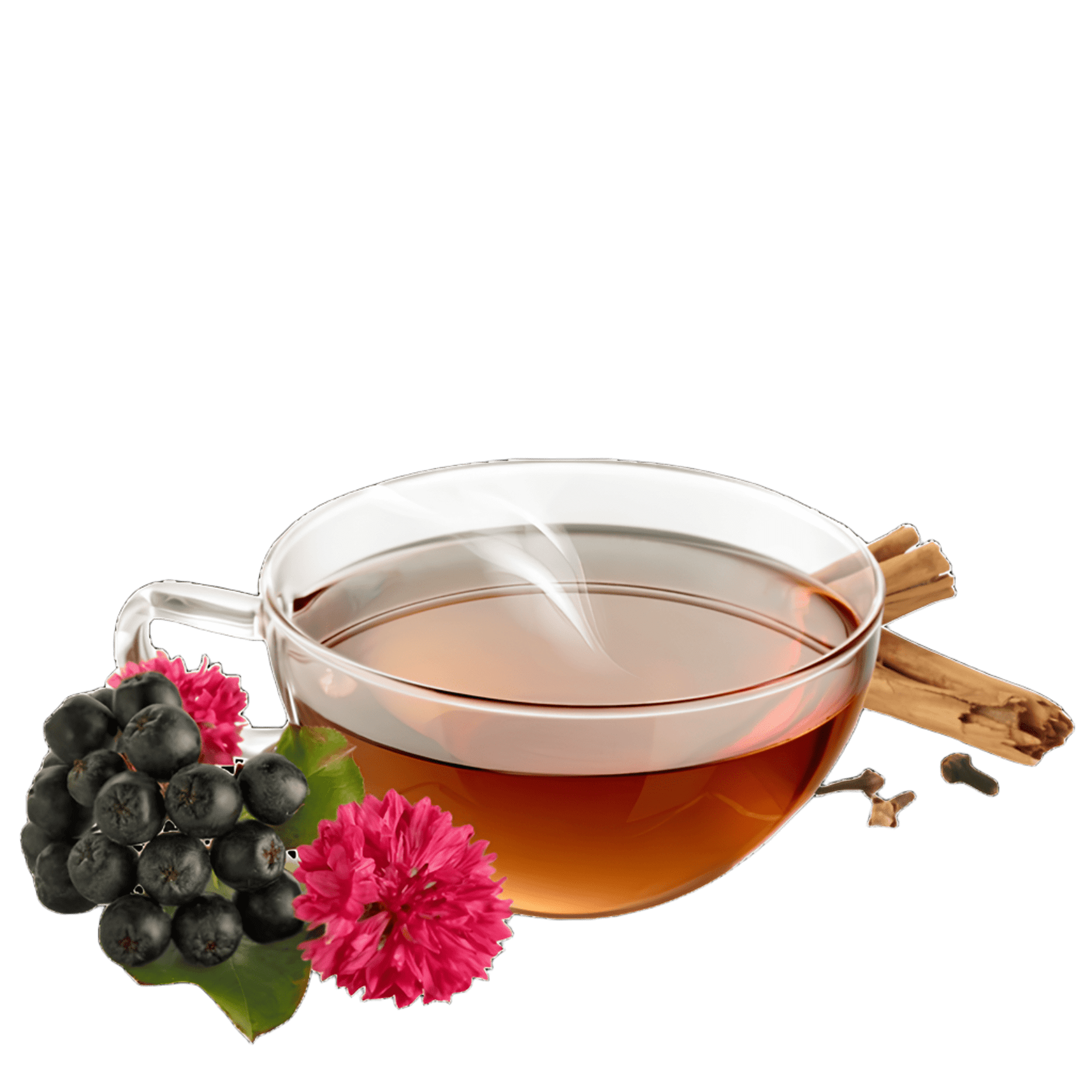 _alpenkrauetertee-bio_swissalpineherbs_alpenfeuer_teetasse