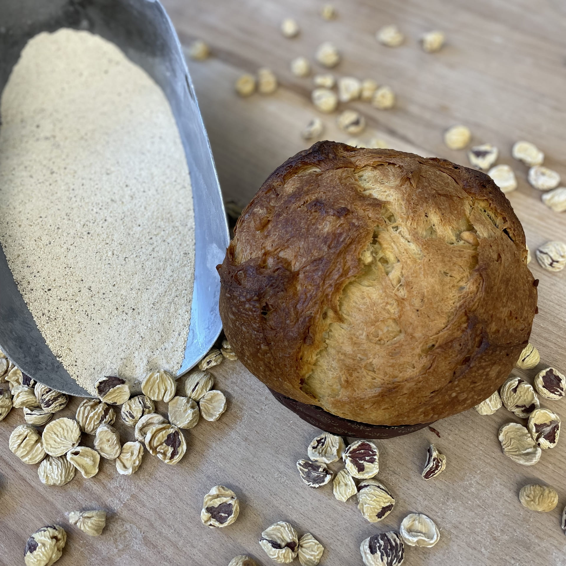 kastanienpanettone-gonzalez-bergell_herstellung_IMG_7765